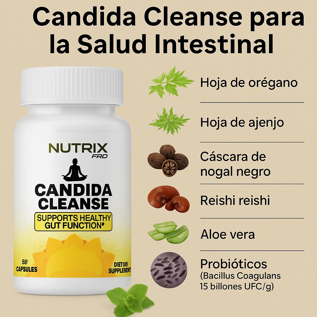 Encabezado