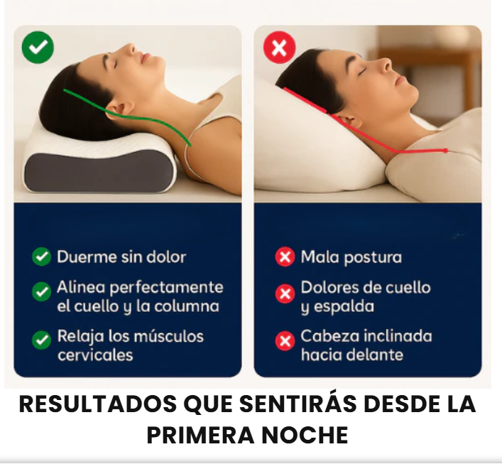 Encabezado