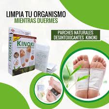 Encabezado