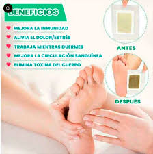 Encabezado